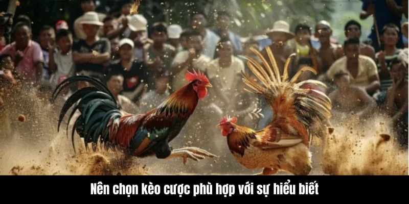Đá Gà Mạng - Những Trận Đấu Kịch Tính Không Thể Bỏ Lỡ 8 Áp dụng mẹo khi chơi đá gà mạng giúp tăng tỷ lệ thắng