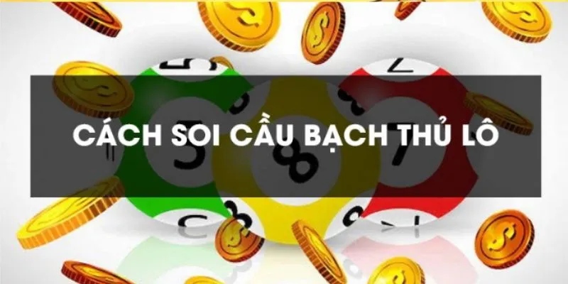 cach soi cau lo bach thu avt